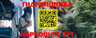 эйфоретик Дубна
