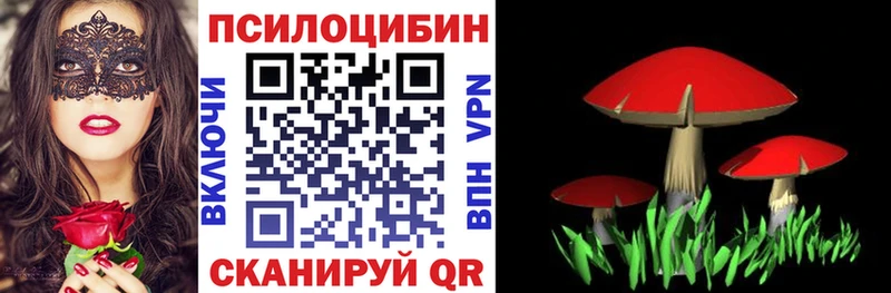 где найти   MEGA маркетплейс  Псилоцибиновые грибы Psilocybine cubensis  Нарьян-Мар 