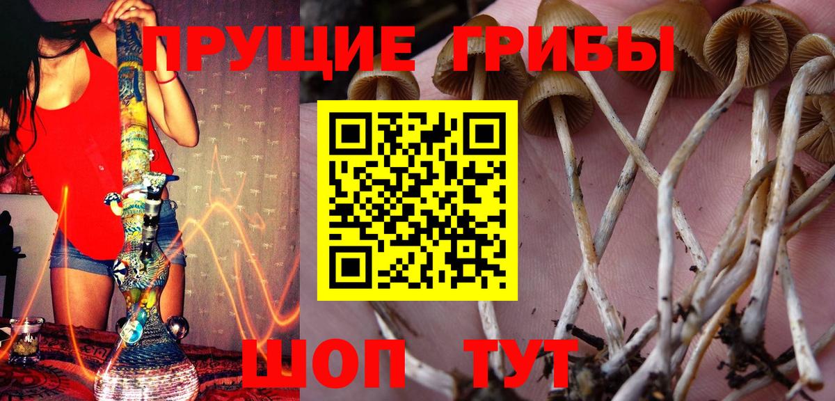Нарьян-Мар  Псилоцибиновые грибы мухоморы  Вход с VPN 