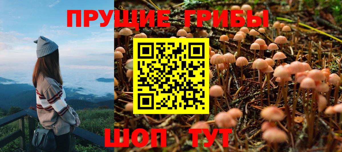 Галлюциногенные грибы мицелий  Нарьян-Мар  Псилоцибиновые грибы Psilocybine cubensis 
